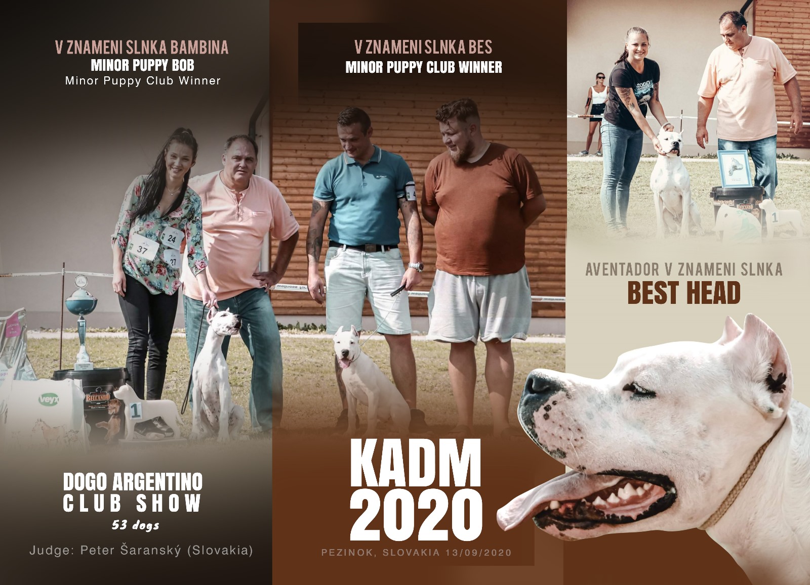 Klubová výstava KADM, Slovensko 2020