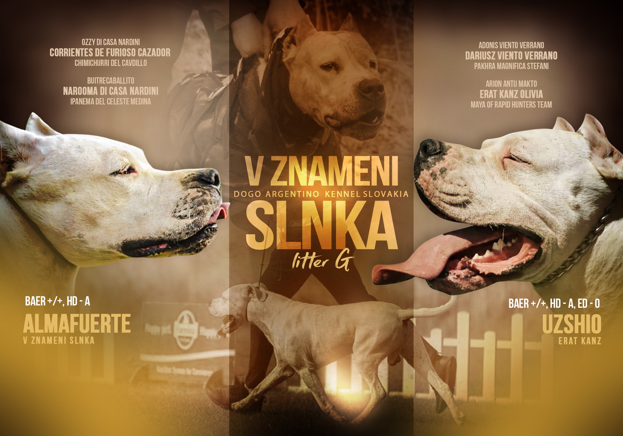 LITTER G – SHIO X ALMA