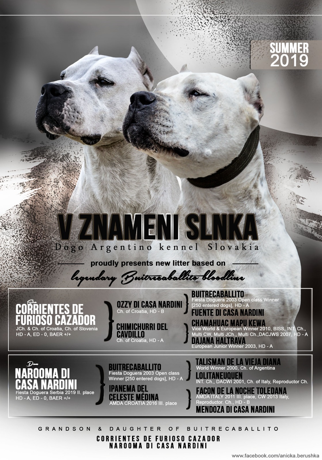 LITTER A – CORRIENTES X NAROOMA